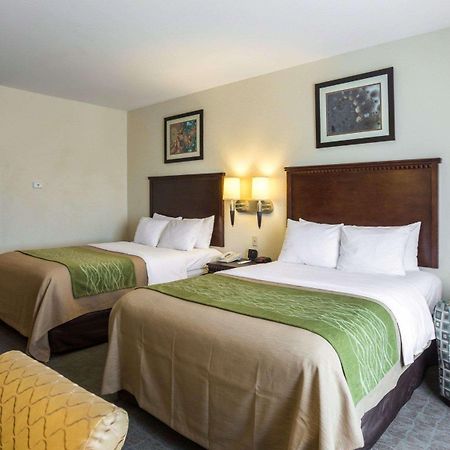 Quality Inn Donaldsonville - Gonzales Zewnętrze zdjęcie